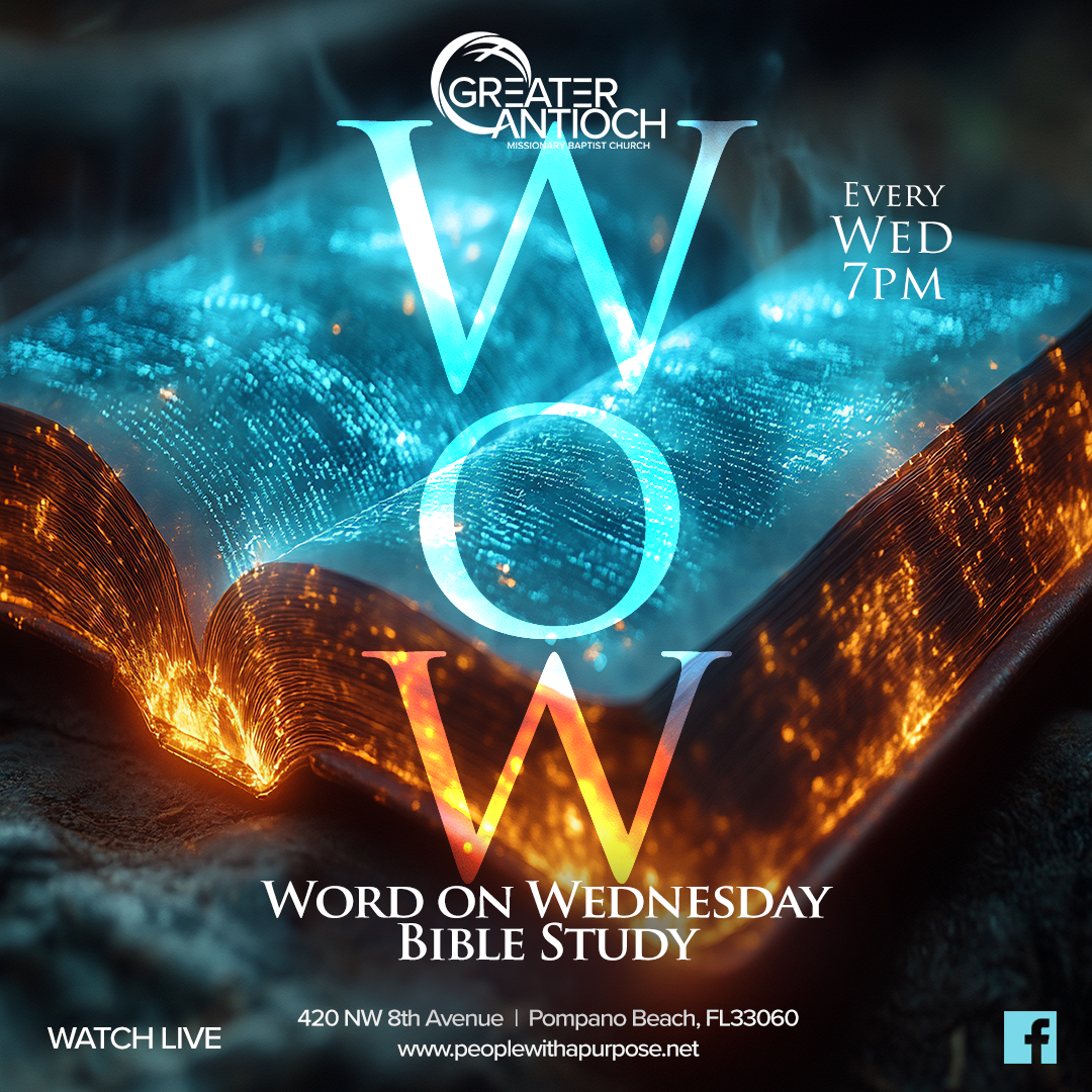 WOW Bible Study